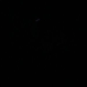 Meet your Posher, Willy